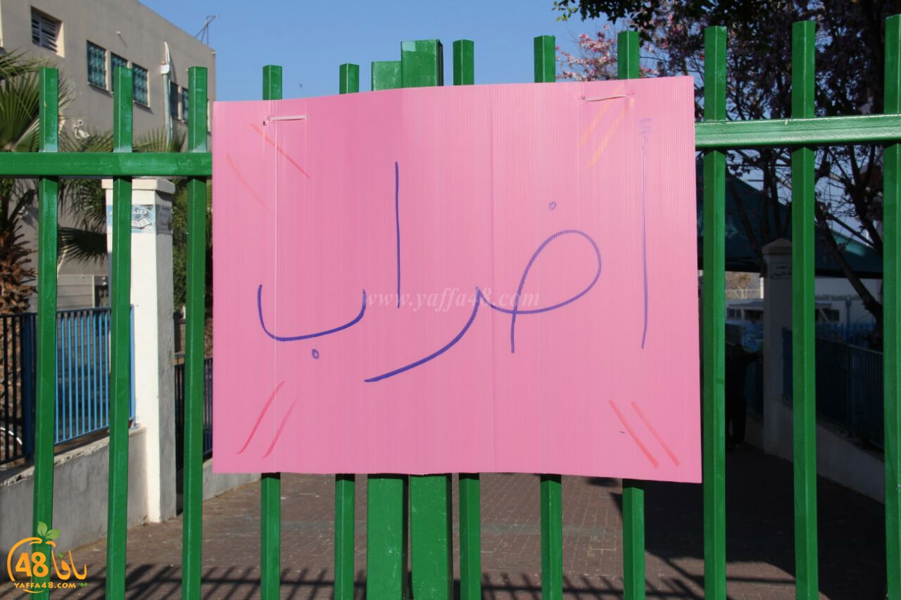 idrab shamela (3).jpg